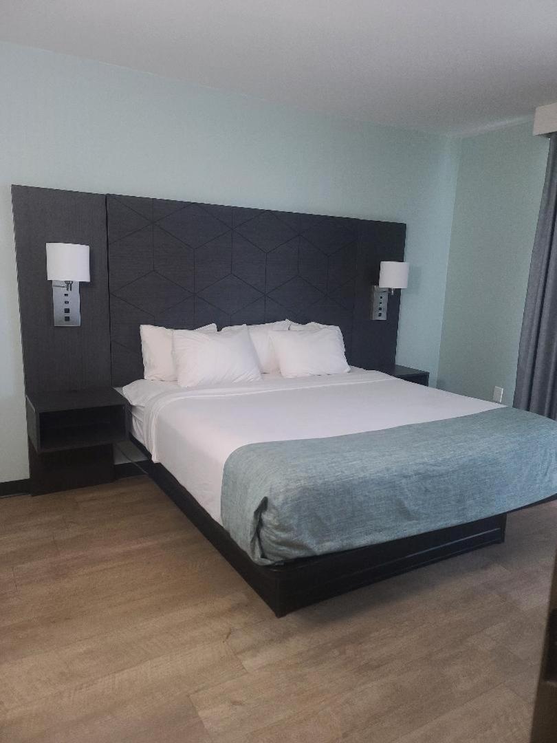 เบสท์ เวสเทิร์น โอเชียน รีฟ สวีท Hotel คิลเดวิลฮิลส์ ภายนอก รูปภาพ